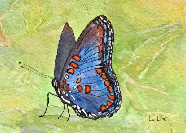 Butterflies watercolor/framed picture
