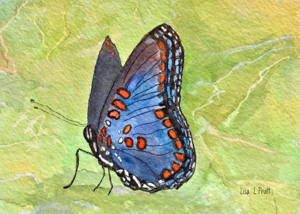 Butterflies watercolor/framed picture