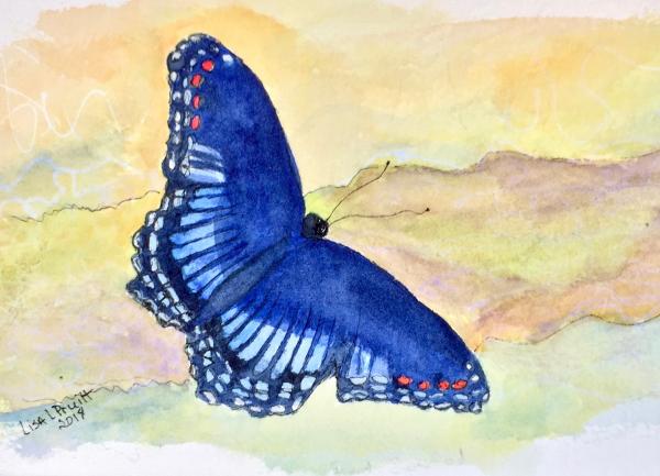 Notecards, Butterflies of Moss Rock Preserve picture