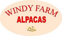 Windy Farm Alpacas