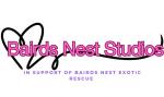 Bairds Nest Studios