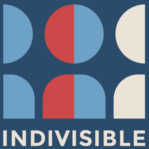 Avondale ACTion, an Indivisible Group