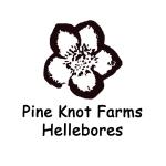 Pine Knot Farms