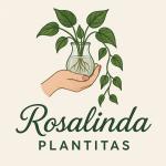 Rosalinda Plantitas