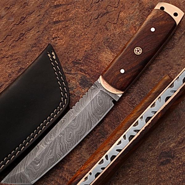 WHITE DEER Damascus Steel TANTO Point Hunting Knife Cocobolo Wood Handle 1095HC picture