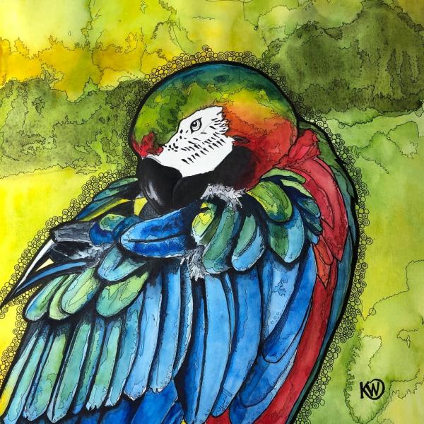 Parrot Print on Paper picture