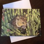 Marsh Mouse Greeting Card