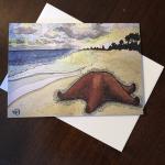 Bahama Sea Star Greeting Card