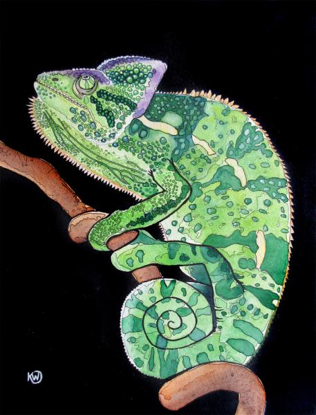 Green Panther Chameleon picture