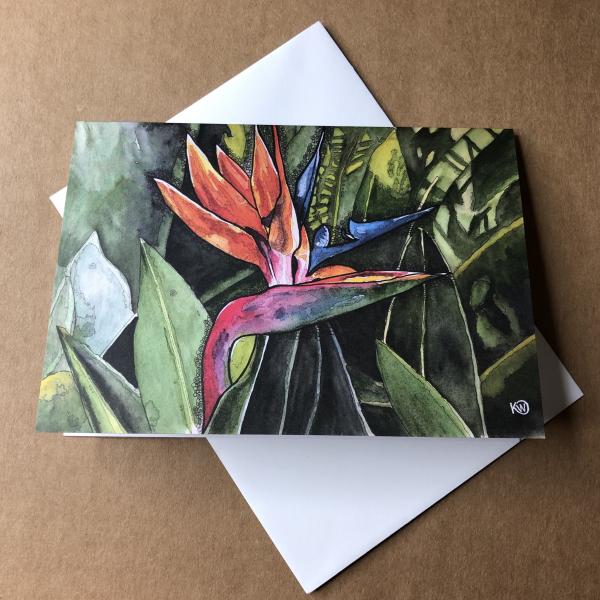 Bird of Paradise Greeting Card