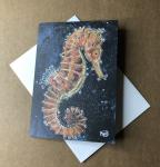 Copper Seahorse Greeting Card