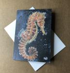 Copper Seahorse Greeting Card