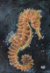 Copper Seahorse