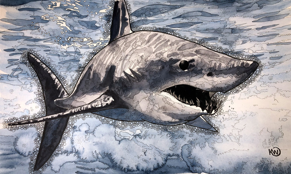 Mako Shark picture