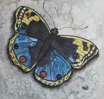 Blue/Yellow Butterfly