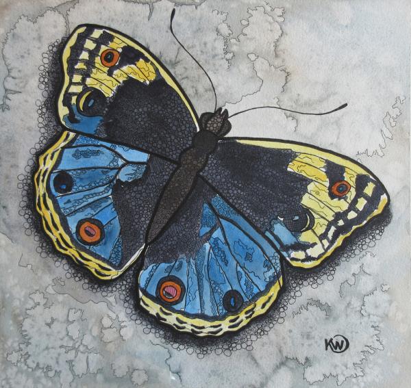 Blue/Yellow Butterfly picture