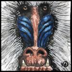 Watermini: White Mandrill