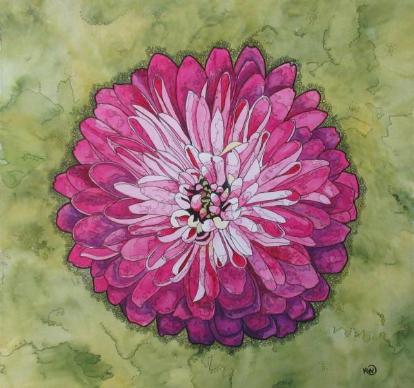 Pink Dahlia