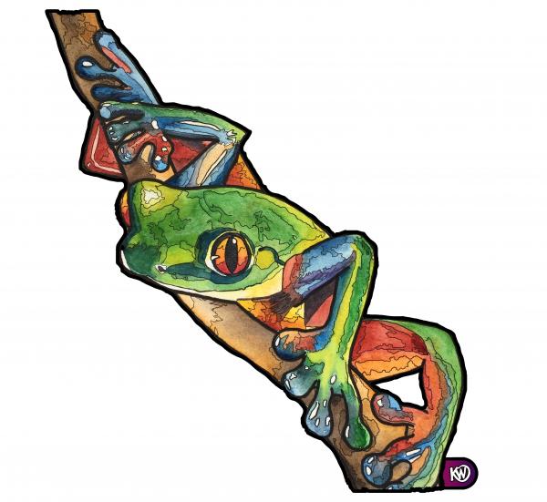 Tree Frog Sticker picture