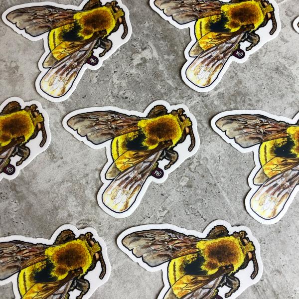 Morrison Bumble Bee Sticker
