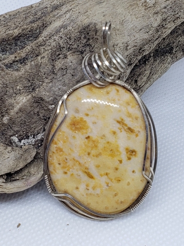 Petrified Palm Wood Pendant in Sterling Silver
