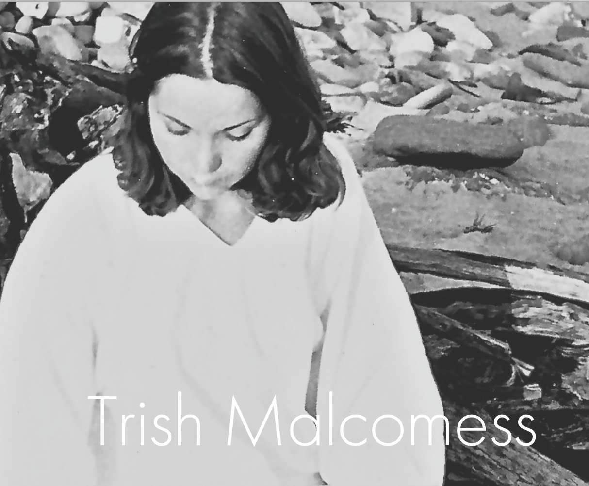 Comox Marina 1 - Trish Malcomess picture