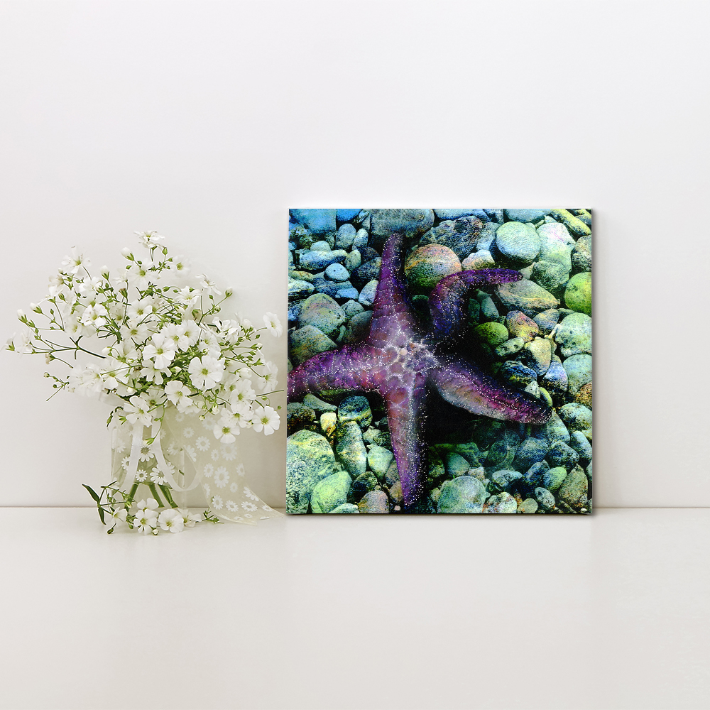 RockStar II - Maggie Ziegler picture