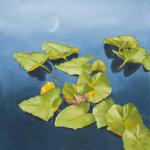 August Evening Moon Pool - David Ballantyne