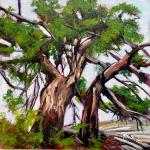 West Coast Spirit - Sharon Lalonde