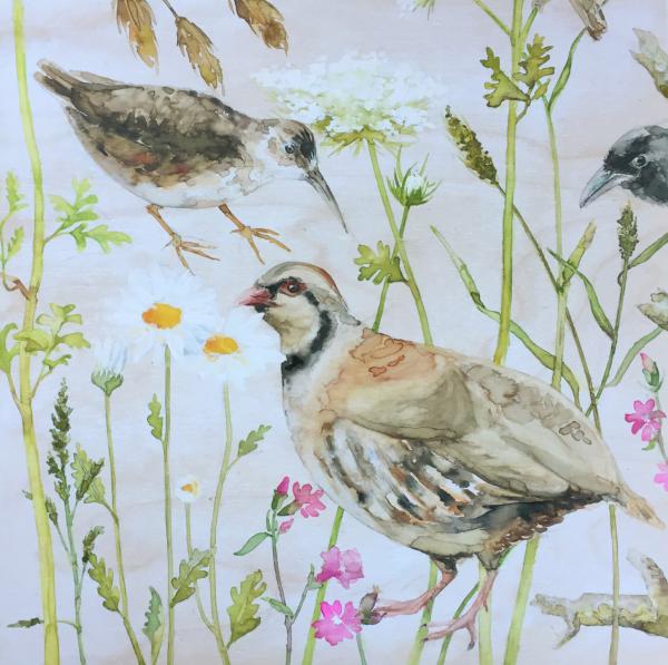 Partridge - Claire Guiot picture