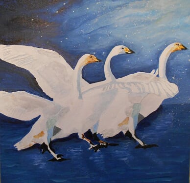 Slip Sliding Along - Maureen Coltman picture