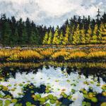 Lilypads On Beaver Lake - Kara Derma