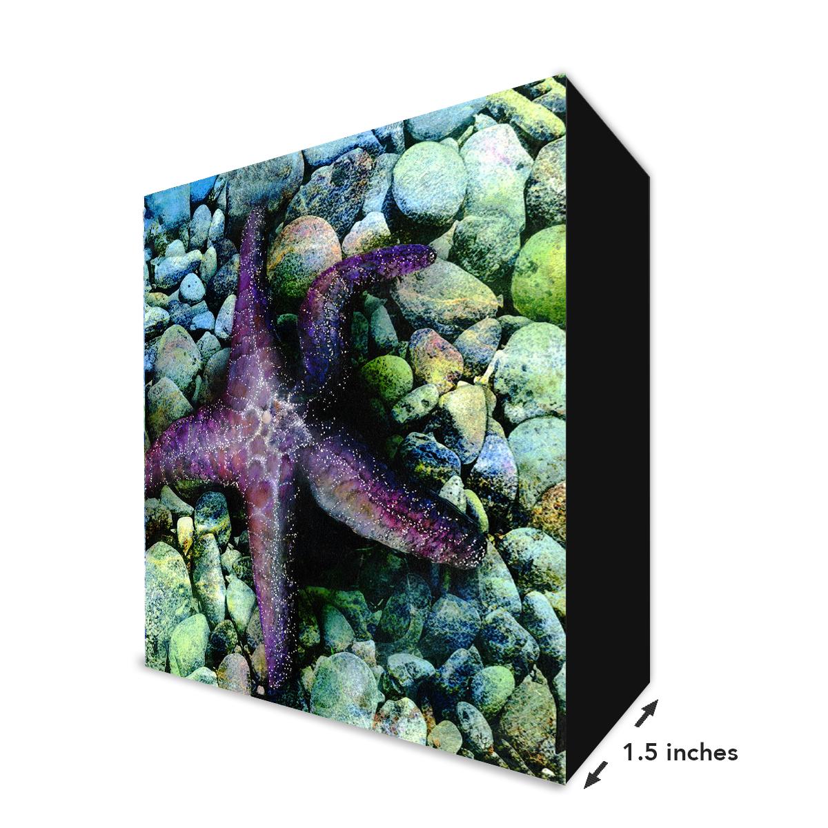 RockStar II - Maggie Ziegler picture