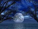 Gail Anne Russell dba Twilight Revelations