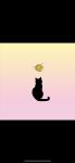 Strings attached by cat