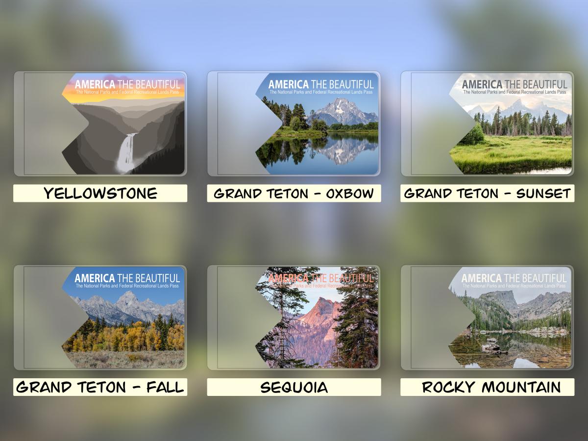National Parks Pass Cover picture