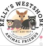 Kelly's Westshore Animal Friends