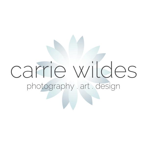 Portrait/Engagement Session Experience with Carrie Wildes picture