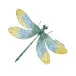 Jessie Create & Carolyns Makes