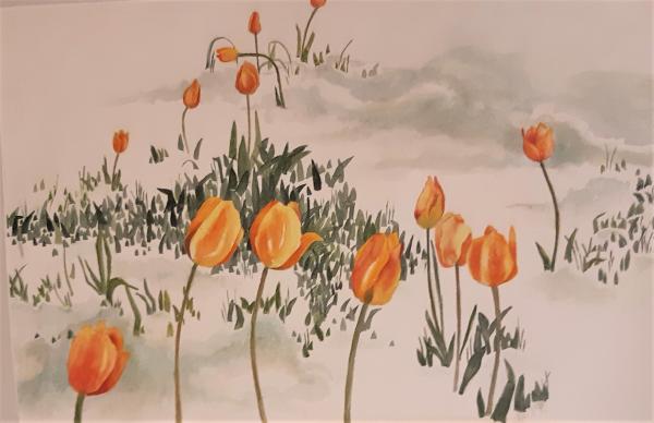 Tulips in the Snow