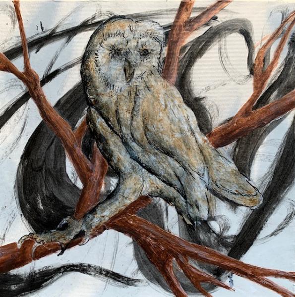 Owl