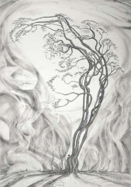 Emergence