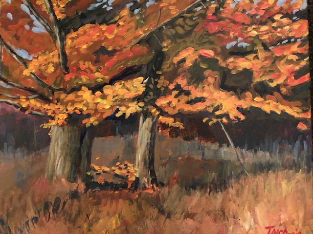 Near Caledon, Fall