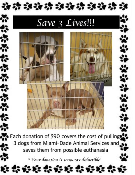Save 3 lives- cost of pulling dogs from MDAS