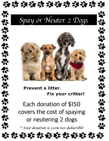 Cover the Cost of Spay & Neuter for 2 Dogs