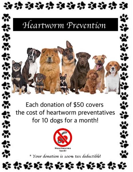 Heartworm Prevention Package for 10 dogs for a month