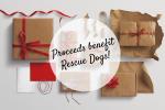 PAWS4you Rescue