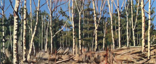 Birches Triptych