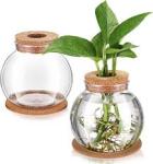 Glass Hydro Prop Pot
