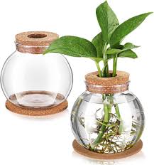 Glass Hydro Prop Pot